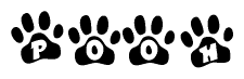 The image shows a series of animal paw prints arranged in a horizontal line. Each paw print contains a letter, and together they spell out the word Pooh.