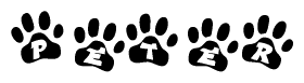 The image shows a series of animal paw prints arranged in a horizontal line. Each paw print contains a letter, and together they spell out the word Peter.