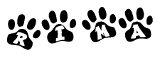 The image shows a series of animal paw prints arranged horizontally. Within each paw print, there's a letter; together they spell Rima