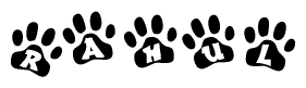 The image shows a series of animal paw prints arranged in a horizontal line. Each paw print contains a letter, and together they spell out the word Rahul.