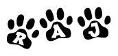 The image shows a row of animal paw prints, each containing a letter. The letters spell out the word Raj within the paw prints.
