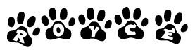 The image shows a series of animal paw prints arranged horizontally. Within each paw print, there's a letter; together they spell Royce
