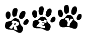 The image shows a row of animal paw prints, each containing a letter. The letters spell out the word Rey within the paw prints.