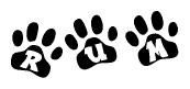 The image shows a series of animal paw prints arranged horizontally. Within each paw print, there's a letter; together they spell Rum