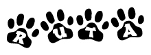The image shows a row of animal paw prints, each containing a letter. The letters spell out the word Ruta within the paw prints.