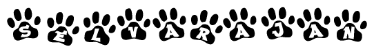 The image shows a series of animal paw prints arranged in a horizontal line. Each paw print contains a letter, and together they spell out the word Selvarajan.