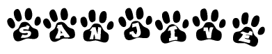 The image shows a row of animal paw prints, each containing a letter. The letters spell out the word Sanjive within the paw prints.