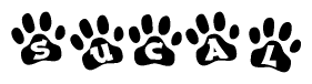 The image shows a series of animal paw prints arranged horizontally. Within each paw print, there's a letter; together they spell Sucal