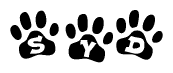 The image shows a series of animal paw prints arranged horizontally. Within each paw print, there's a letter; together they spell Syd
