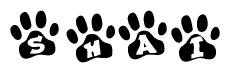 The image shows a series of animal paw prints arranged horizontally. Within each paw print, there's a letter; together they spell Shai