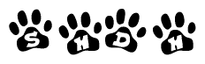 The image shows a series of animal paw prints arranged in a horizontal line. Each paw print contains a letter, and together they spell out the word Shdh.