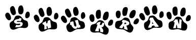The image shows a series of animal paw prints arranged in a horizontal line. Each paw print contains a letter, and together they spell out the word Shukran.