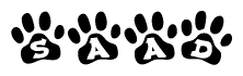 The image shows a series of animal paw prints arranged in a horizontal line. Each paw print contains a letter, and together they spell out the word Saad.