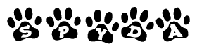 The image shows a series of animal paw prints arranged horizontally. Within each paw print, there's a letter; together they spell Spyda