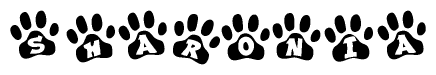 The image shows a row of animal paw prints, each containing a letter. The letters spell out the word Sharonia within the paw prints.