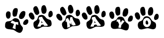The image shows a row of animal paw prints, each containing a letter. The letters spell out the word Tamayo within the paw prints.