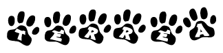 The image shows a series of animal paw prints arranged horizontally. Within each paw print, there's a letter; together they spell Terrea