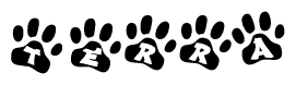 The image shows a row of animal paw prints, each containing a letter. The letters spell out the word Terra within the paw prints.