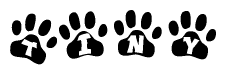 The image shows a series of animal paw prints arranged in a horizontal line. Each paw print contains a letter, and together they spell out the word Tiny.