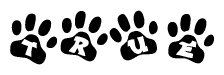 The image shows a series of animal paw prints arranged horizontally. Within each paw print, there's a letter; together they spell True