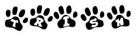 The image shows a series of animal paw prints arranged horizontally. Within each paw print, there's a letter; together they spell Trish