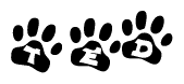The image shows a row of animal paw prints, each containing a letter. The letters spell out the word Ted within the paw prints.