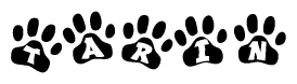 The image shows a row of animal paw prints, each containing a letter. The letters spell out the word Tarin within the paw prints.