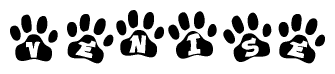 The image shows a series of animal paw prints arranged horizontally. Within each paw print, there's a letter; together they spell Venise