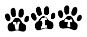 The image shows a series of animal paw prints arranged horizontally. Within each paw print, there's a letter; together they spell Vit