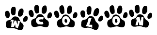 The image shows a series of animal paw prints arranged in a horizontal line. Each paw print contains a letter, and together they spell out the word Wcolon.