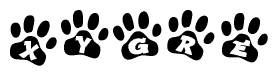 The image shows a row of animal paw prints, each containing a letter. The letters spell out the word Xygre within the paw prints.