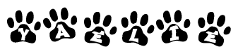 The image shows a series of animal paw prints arranged in a horizontal line. Each paw print contains a letter, and together they spell out the word Yaelie.