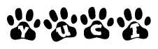 The image shows a series of animal paw prints arranged in a horizontal line. Each paw print contains a letter, and together they spell out the word Yuci.