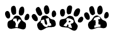The image shows a row of animal paw prints, each containing a letter. The letters spell out the word Yuri within the paw prints.