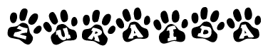 The image shows a series of animal paw prints arranged in a horizontal line. Each paw print contains a letter, and together they spell out the word Zuraida.