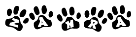 The image shows a series of animal paw prints arranged in a horizontal line. Each paw print contains a letter, and together they spell out the word Zahra.