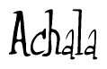 The image contains the word 'Achala' written in a cursive, stylized font.