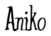 The image is of the word Aniko stylized in a cursive script.