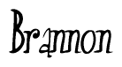 The image is a stylized text or script that reads 'Brannon' in a cursive or calligraphic font.