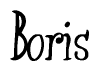 The image contains the word 'Boris' written in a cursive, stylized font.