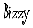 The image is a stylized text or script that reads 'Bizzy' in a cursive or calligraphic font.