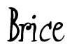 The image is of the word Brice stylized in a cursive script.