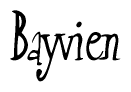 The image is of the word Bayvien stylized in a cursive script.