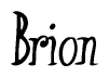 The image is a stylized text or script that reads 'Brion' in a cursive or calligraphic font.