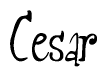 The image contains the word 'Cesar' written in a cursive, stylized font.