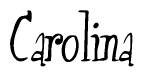 The image is of the word Carolina stylized in a cursive script.