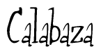 The image contains the word 'Calabaza' written in a cursive, stylized font.