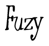 Fuzy
