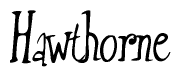 The image is of the word Hawthorne stylized in a cursive script.