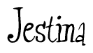 The image is of the word Jestina stylized in a cursive script.